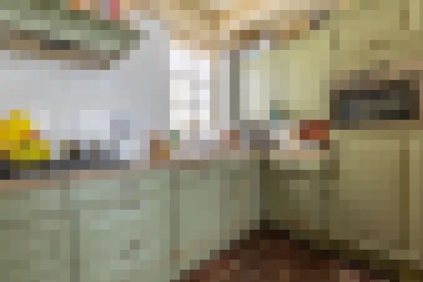 van der Stratenweg 3 Nes thumbnail 9