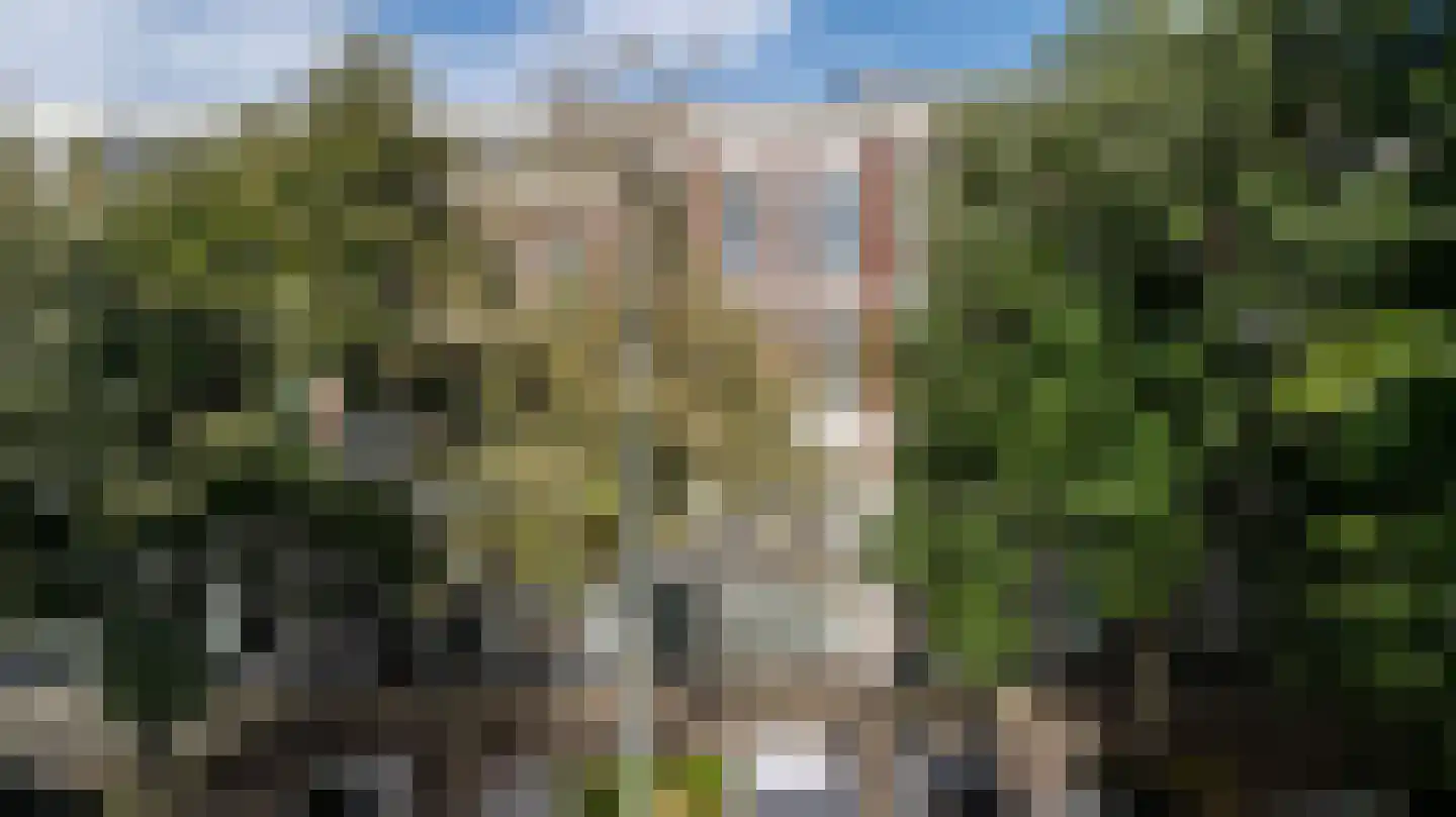 Van der Takstraat 100 B Rotterdam thumbnail 4