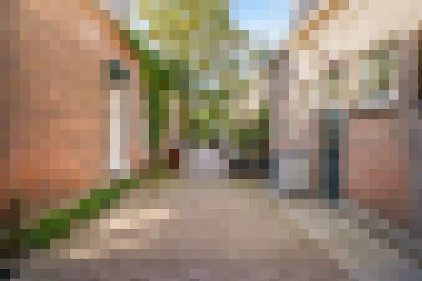 Van der Tasstraat 2 Leiden thumbnail 4