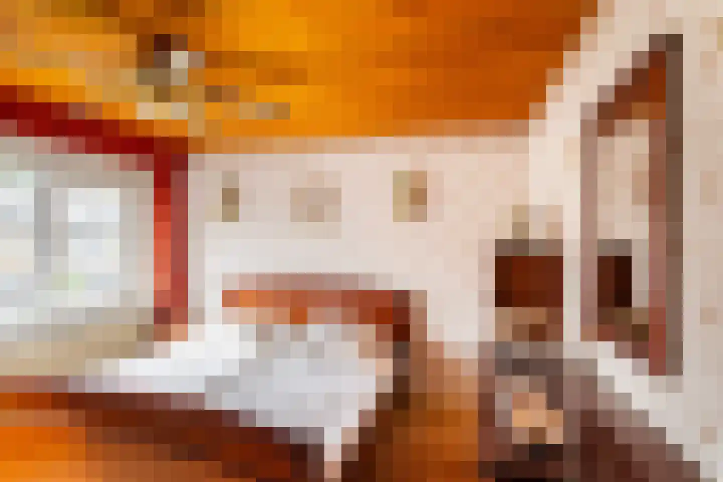 Van der Trappenstraat 30 Honselersdijk thumbnail 18