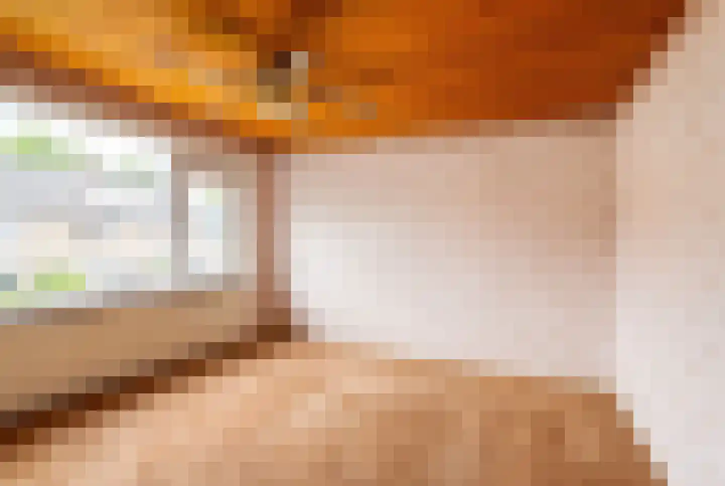 Van der Trappenstraat 30 Honselersdijk thumbnail 19
