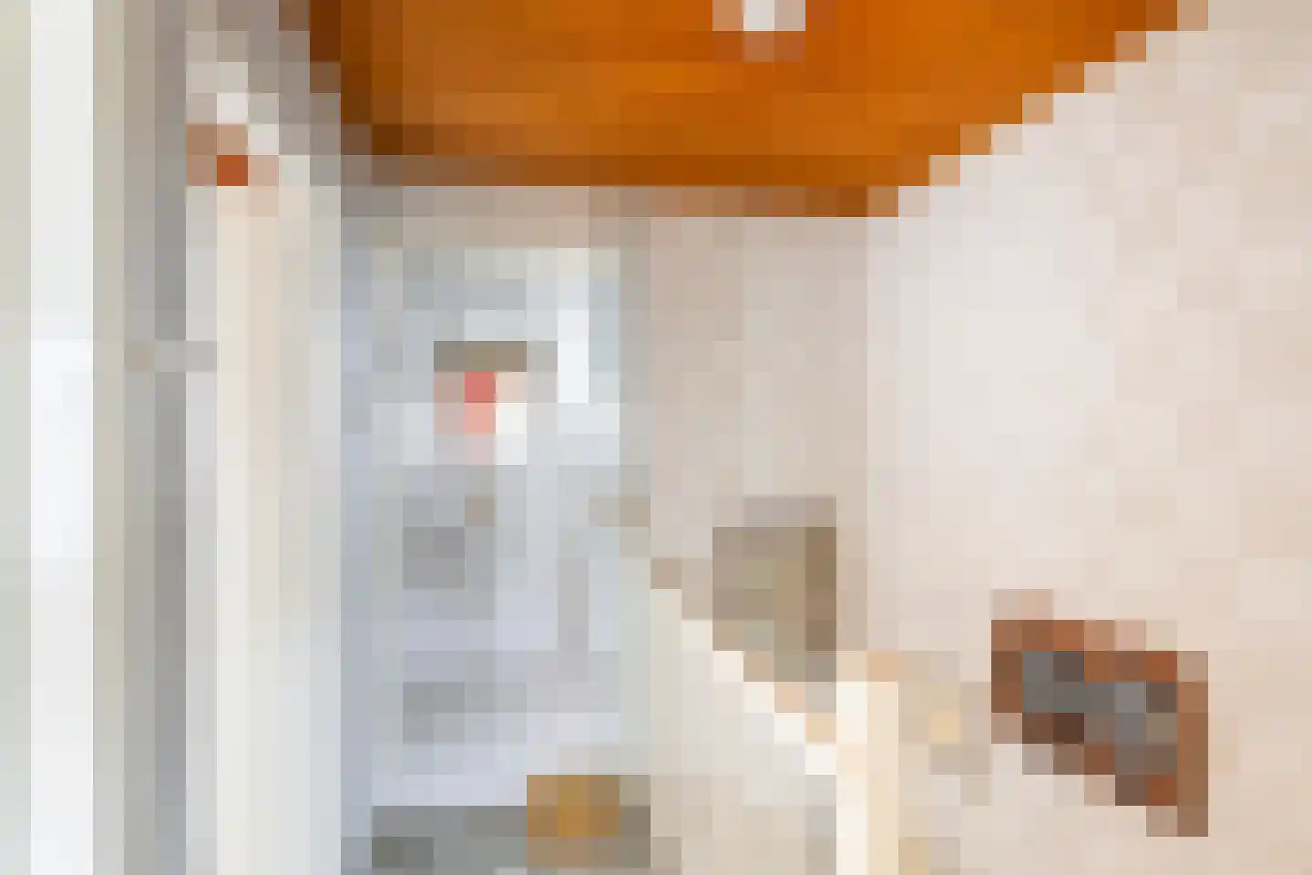 Van der Trappenstraat 30 Honselersdijk thumbnail 24