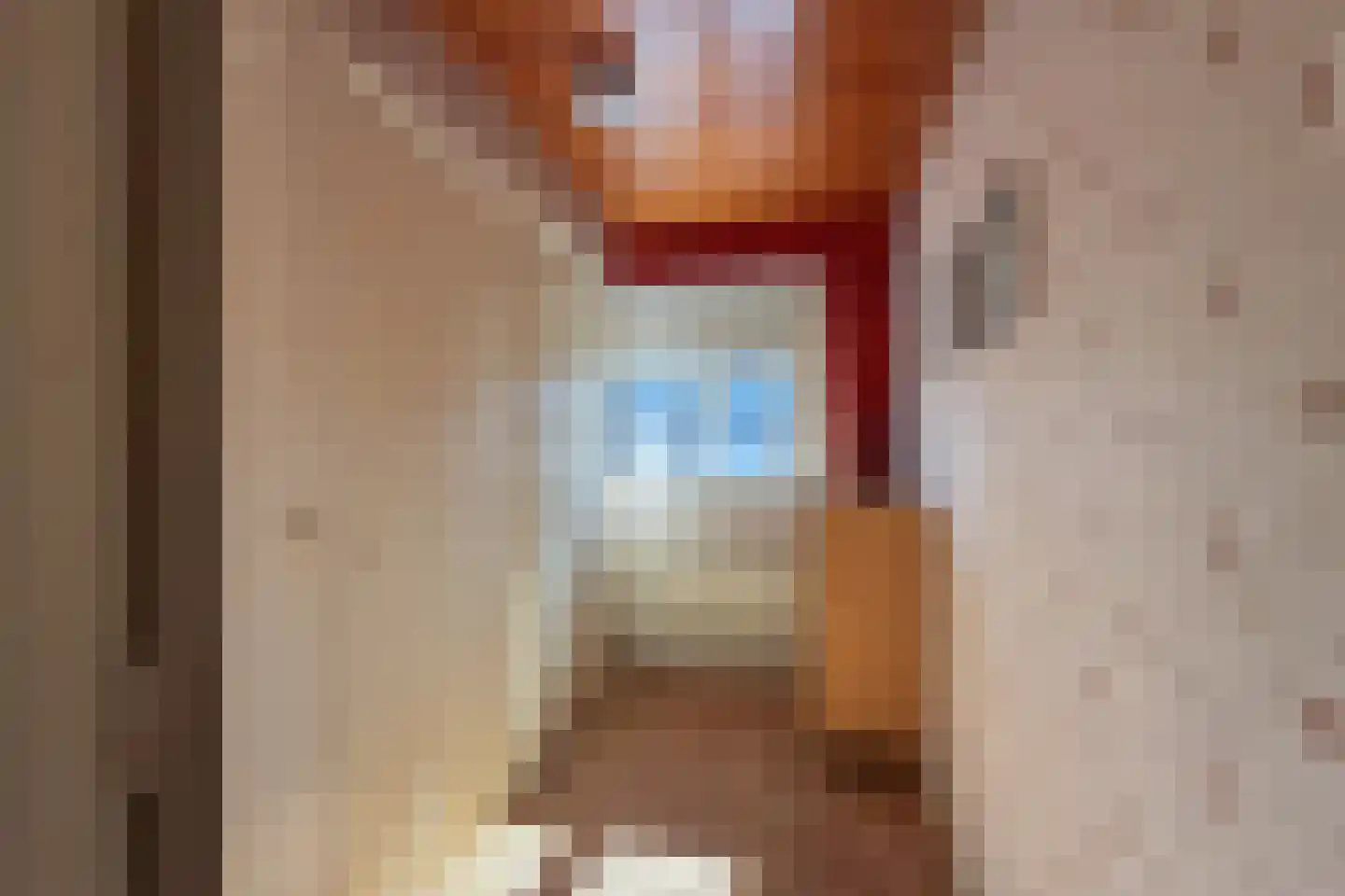 Van der Trappenstraat 30 Honselersdijk thumbnail 33