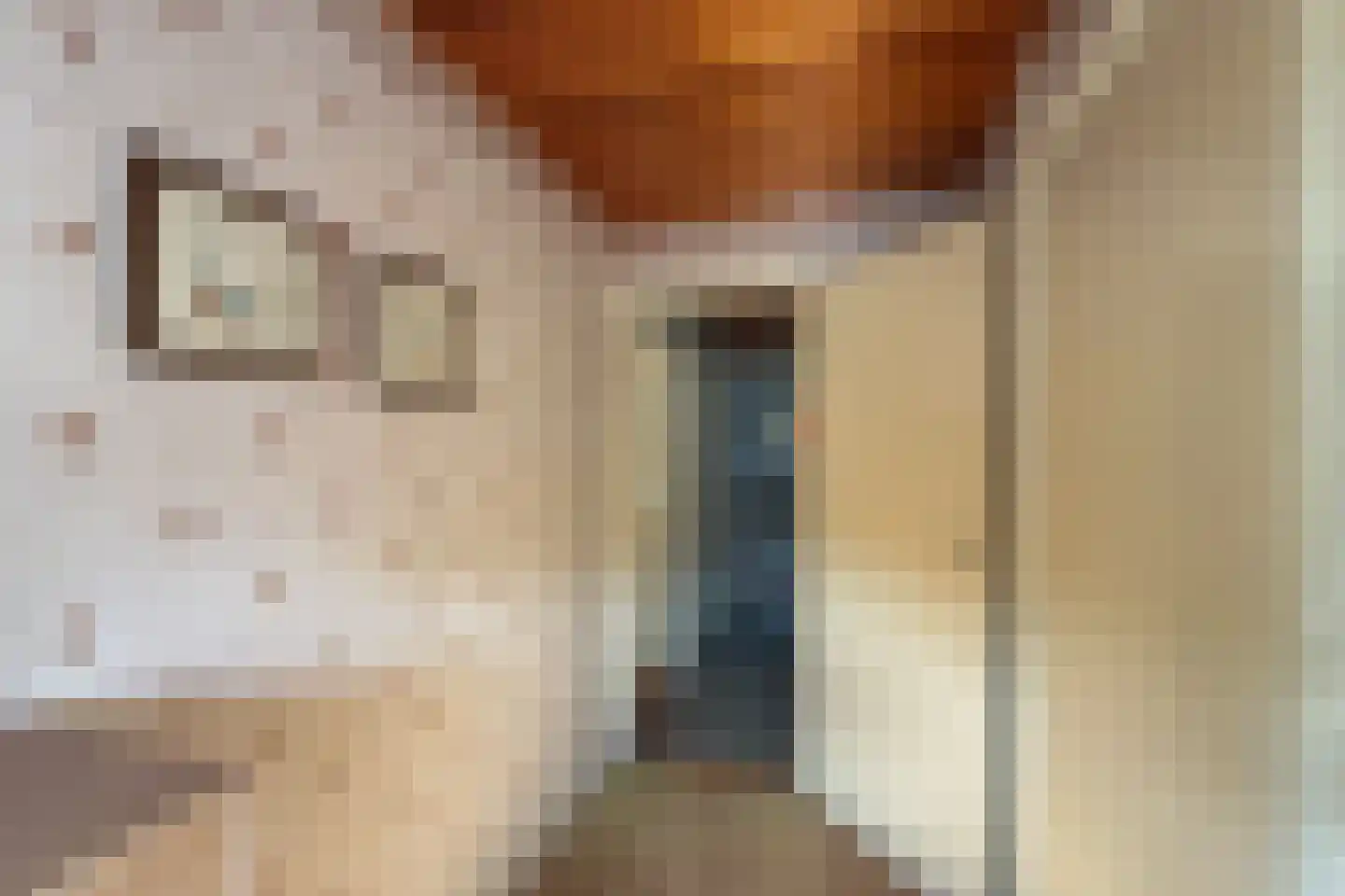 Van der Trappenstraat 30 Honselersdijk thumbnail 34