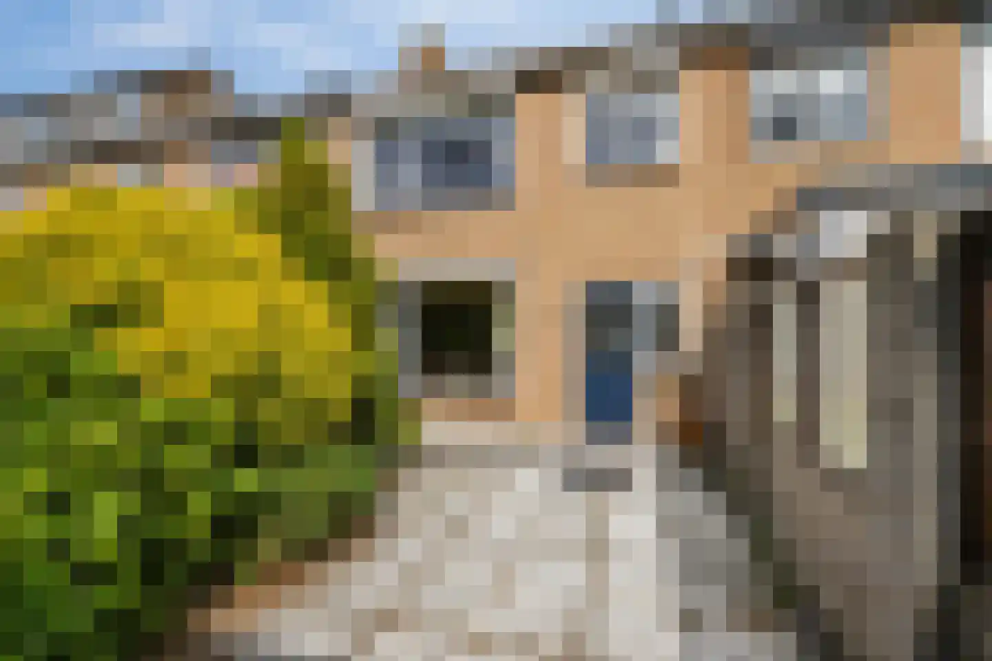 Van der Trappenstraat 30 Honselersdijk thumbnail 4