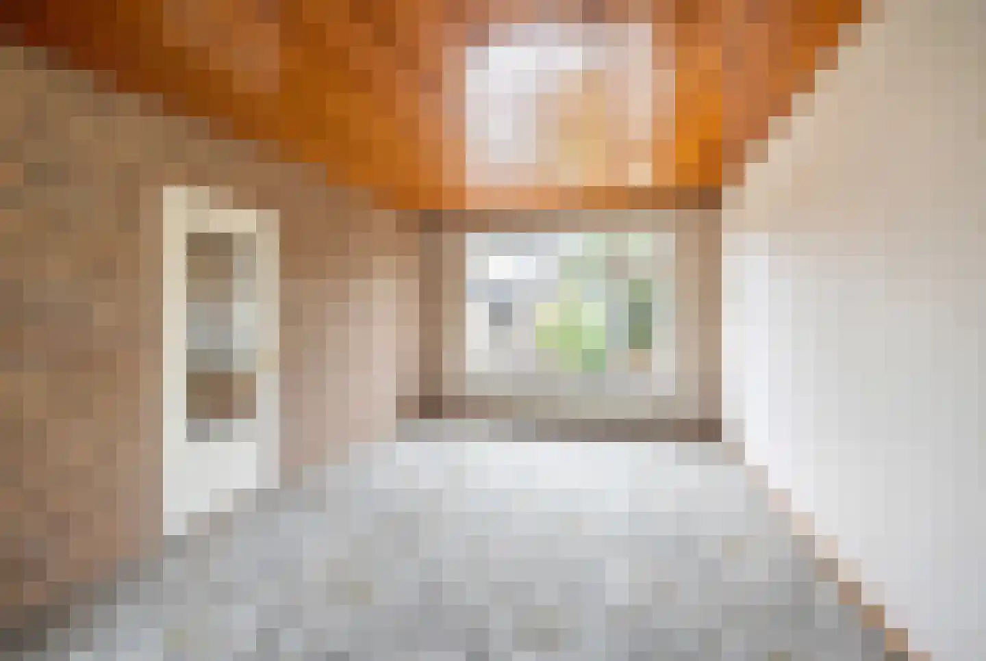 Van der Trappenstraat 30 Honselersdijk thumbnail 8
