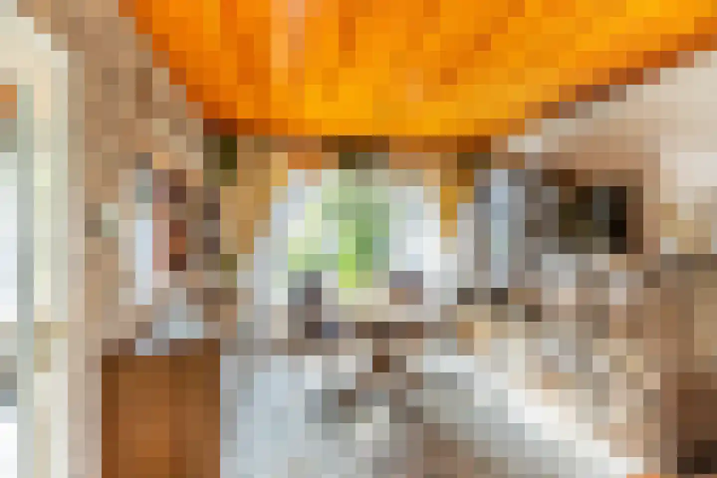 Van der Trappenstraat 30 Honselersdijk thumbnail 9