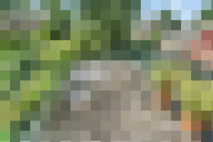 Van der Valk Boumanlaan 12 Woerden thumbnail 32