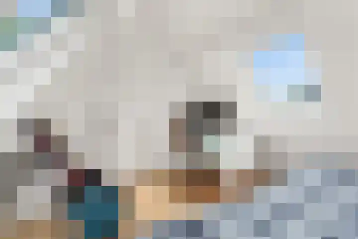 Van der Valk Boumanlaan 12 Woerden thumbnail 37