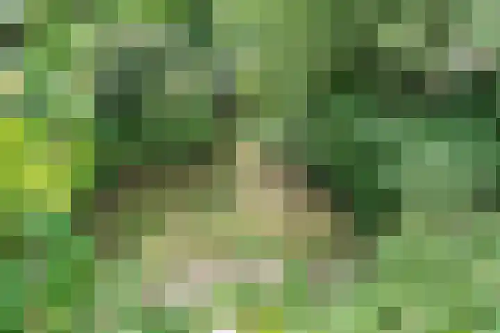 Van der Valk Boumanlaan 12 Woerden thumbnail 39