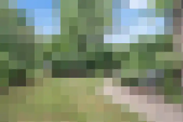 Van der Valk Boumanlaan 12 Woerden thumbnail 43