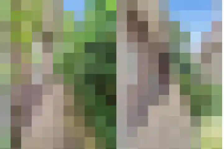Van der Valk Boumanlaan 12 Woerden thumbnail 6