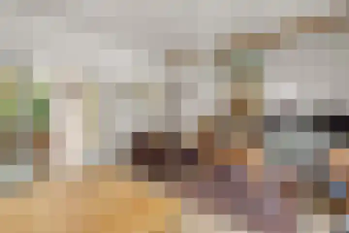 Van der Valk Boumanlaan 12 Woerden thumbnail 8