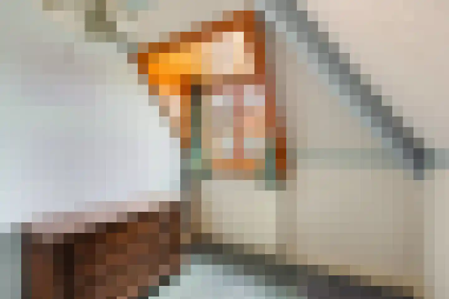 Van der Valk Boumanlaan 2 Woerden thumbnail 18