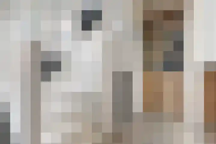 Van der Valk Boumanlaan 28 Woerden thumbnail 17