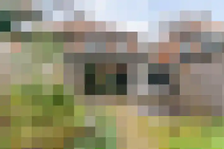 Van der Valk Boumanlaan 28 Woerden thumbnail 33