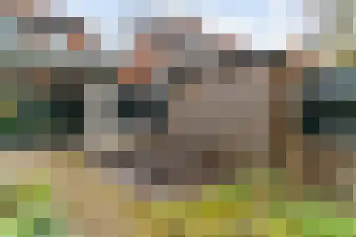 Van der Valk Boumanlaan 28 Woerden thumbnail 35