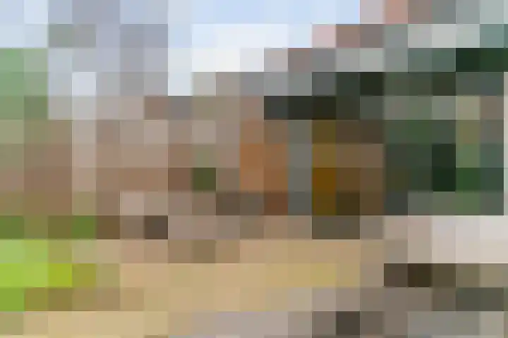 Van der Valk Boumanlaan 28 Woerden thumbnail 5