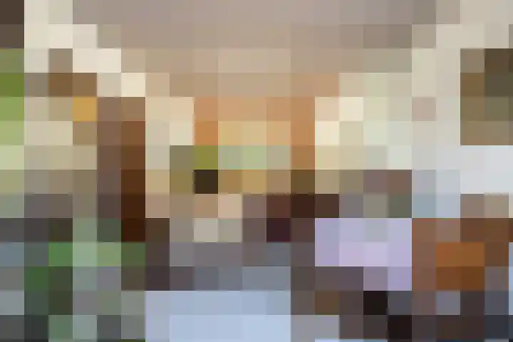 Van der Valk Boumanlaan 39 Woerden thumbnail 12