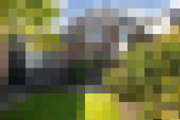 Van der Valk Boumanlaan 39 Woerden thumbnail 13