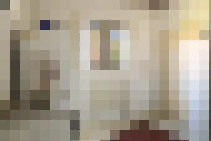 Van der Valk Boumanlaan 39 Woerden thumbnail 23