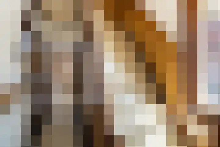 Van der Valk Boumanlaan 39 Woerden thumbnail 26