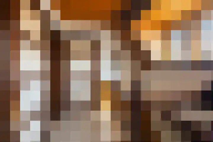 Van der Valk Boumanlaan 39 Woerden thumbnail 27