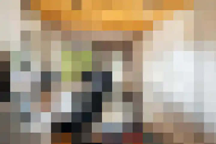Van der Valk Boumanlaan 39 Woerden thumbnail 33
