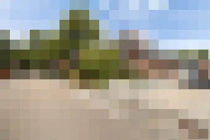 Van der Valk Boumanlaan 39 Woerden thumbnail 40