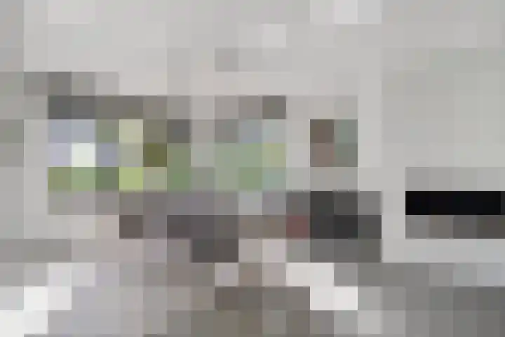 Van der Valk Boumanlaan 82 Woerden thumbnail 13