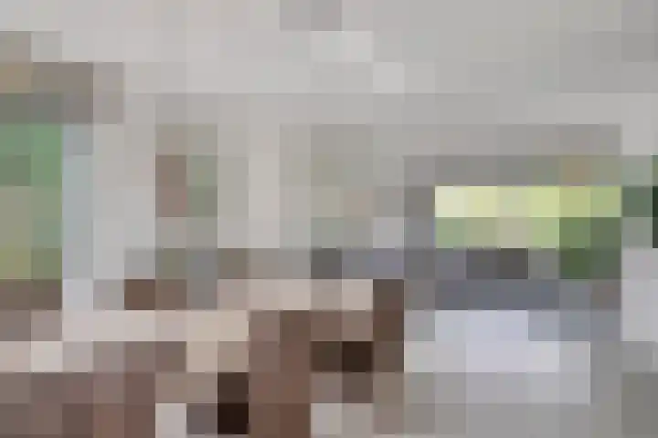 Van der Valk Boumanlaan 82 Woerden thumbnail 15