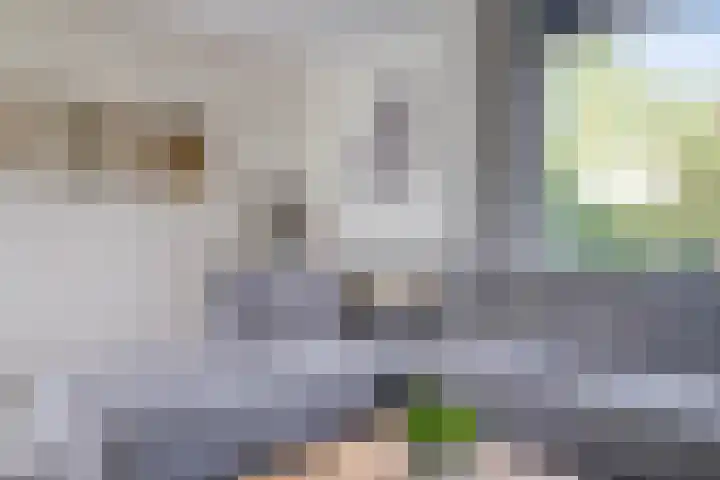 Van der Valk Boumanlaan 82 Woerden thumbnail 18