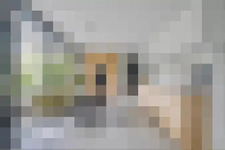 Van der Valk Boumanlaan 82 Woerden thumbnail 22