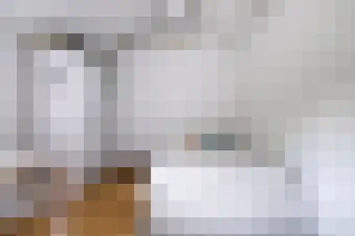 Van der Valk Boumanlaan 82 Woerden thumbnail 35