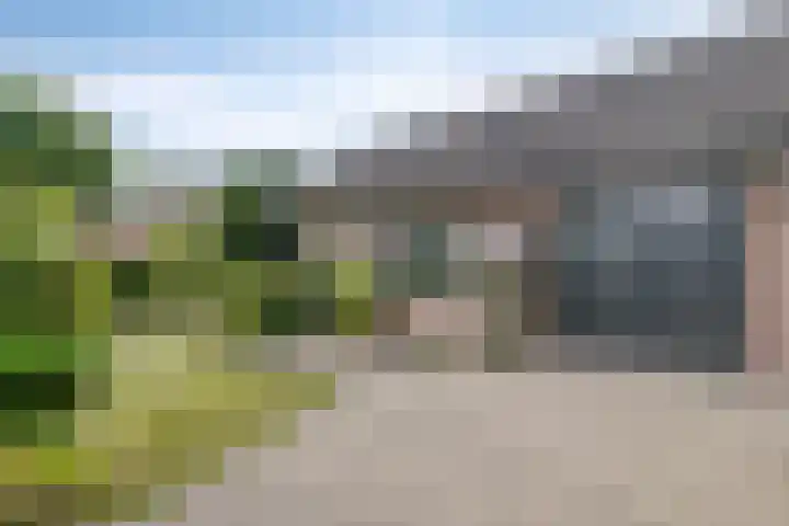 Van der Valk Boumanlaan 82 Woerden thumbnail 4