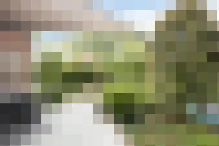 Van der Valk Boumanlaan 82 Woerden thumbnail 44
