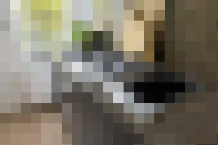 Van der Valk Boumanlaan 96 Woerden thumbnail 21