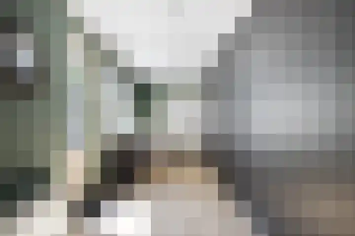 Van der Valk Boumanlaan 96 Woerden thumbnail 22