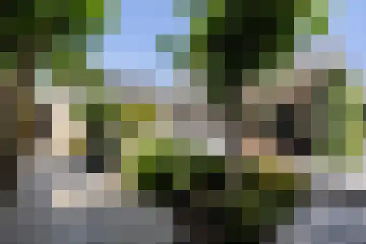 Van der Valk Boumanlaan 96 Woerden thumbnail 28