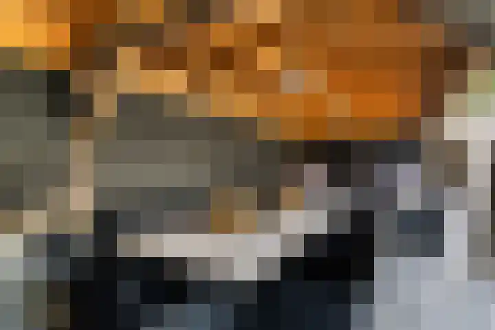 Van der Valk Boumanlaan 96 Woerden thumbnail 31