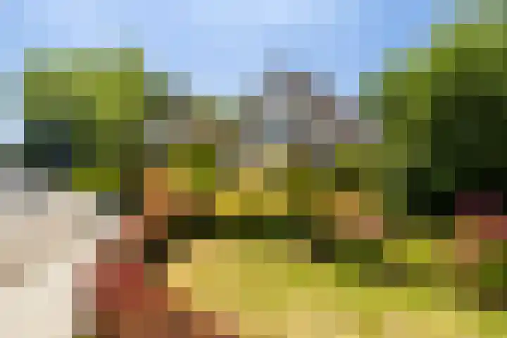 Van der Valk Boumanlaan 96 Woerden thumbnail 4