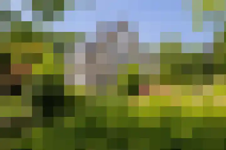 Van der Valk Boumanlaan 96 Woerden thumbnail 5