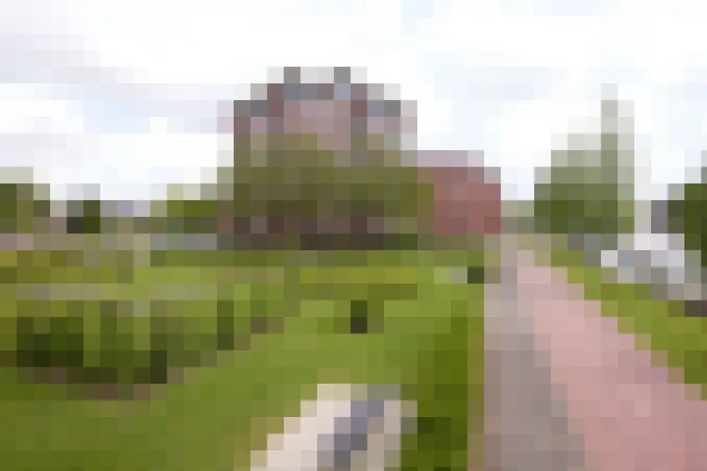 Van der Valk Boumanweg 157 Leiderdorp thumbnail 6