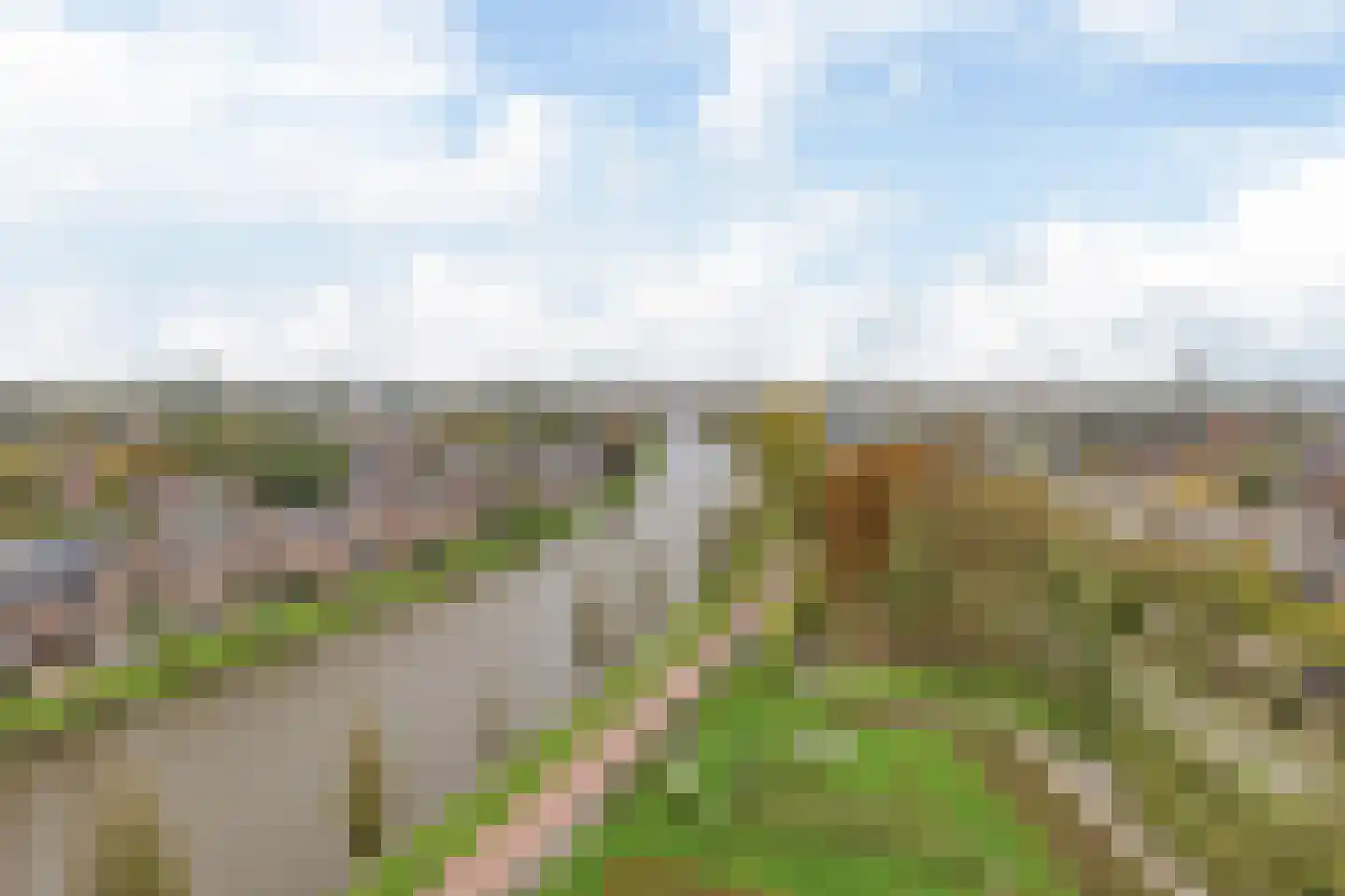 Van der Valk Boumanweg 161 Leiderdorp thumbnail 34