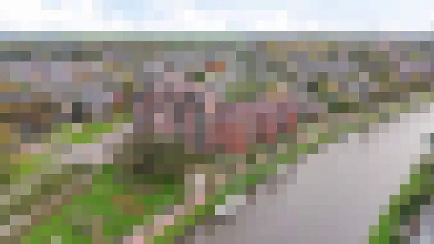 Van der Valk Boumanweg 161 Leiderdorp thumbnail 8