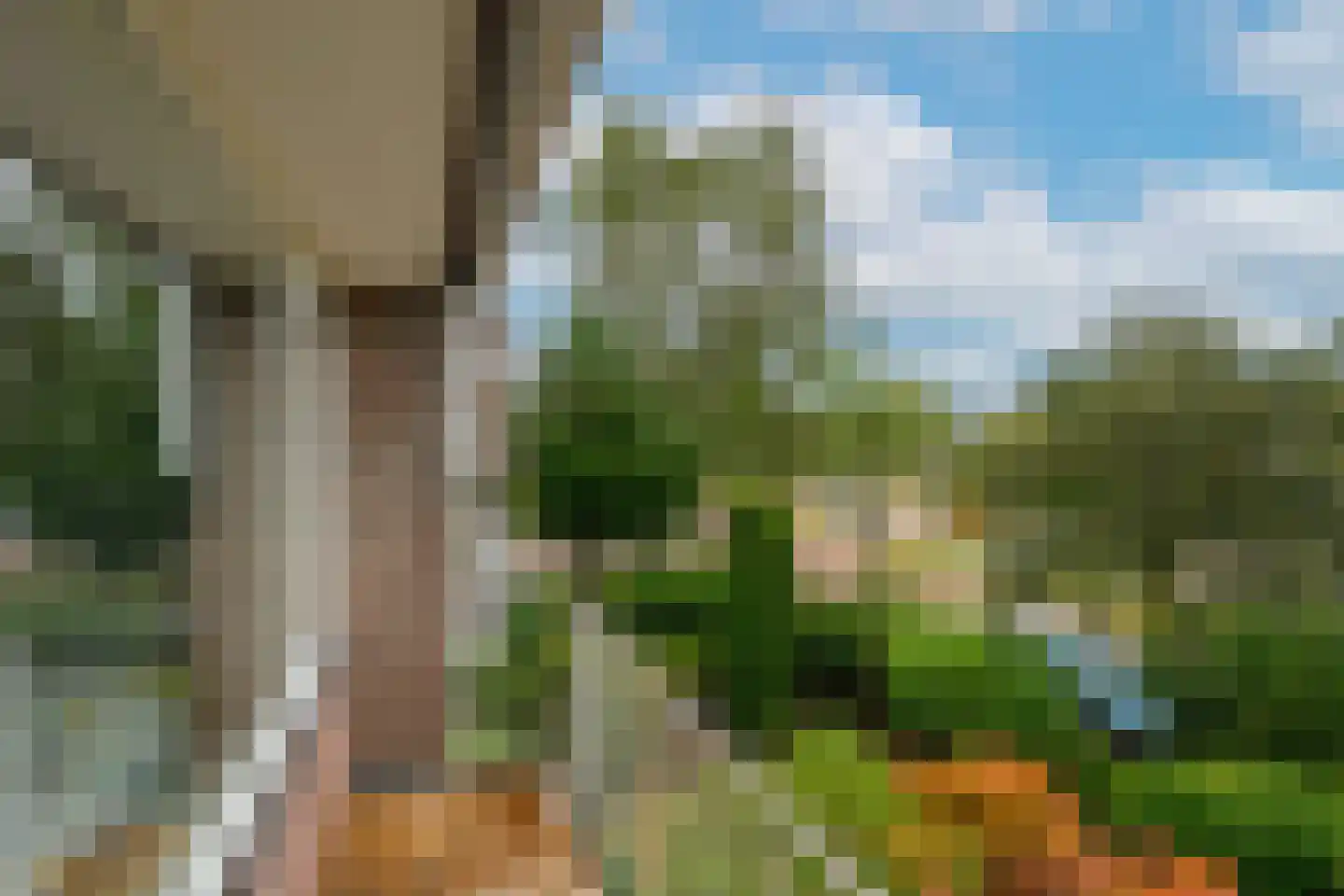 Van der Valk Boumanweg 18 Leiderdorp thumbnail 38