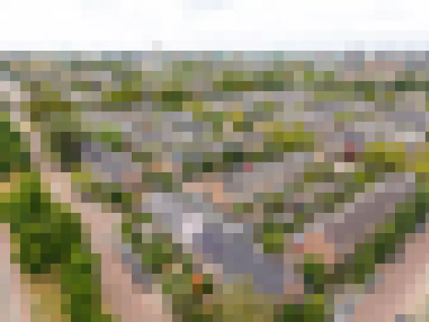 Van der Valk Boumanweg 18 Leiderdorp thumbnail 6