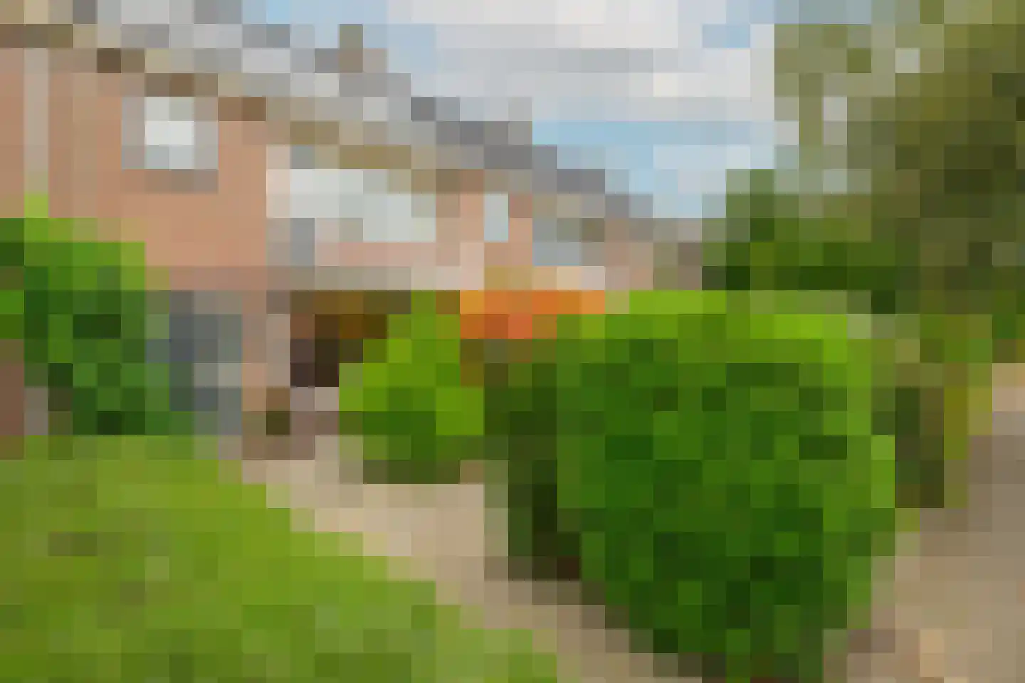 Van der Valk Boumanweg 18 Leiderdorp thumbnail 8