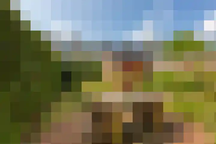 Van der Valk Boumanweg 45 Leiderdorp thumbnail 12