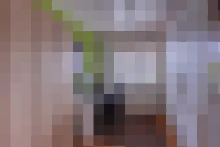 Van der Valk Boumanweg 45 Leiderdorp thumbnail 32